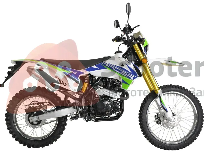 Мотоцикл Racer RC300GY8A Enduro-0