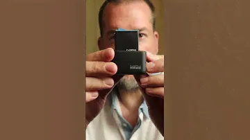 GoPro Dual Battery Charger 🎵