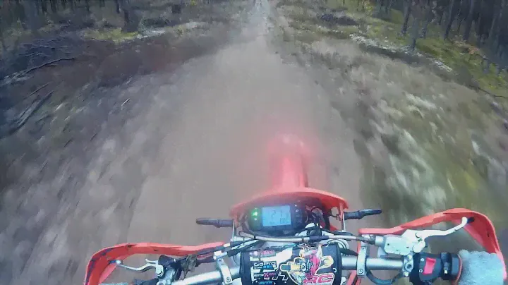 Эндуро троица в лесу - Minsk X 250, Pioneer 200CC, Racer 250 XZR